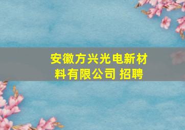 安徽方兴光电新材料有限公司 招聘